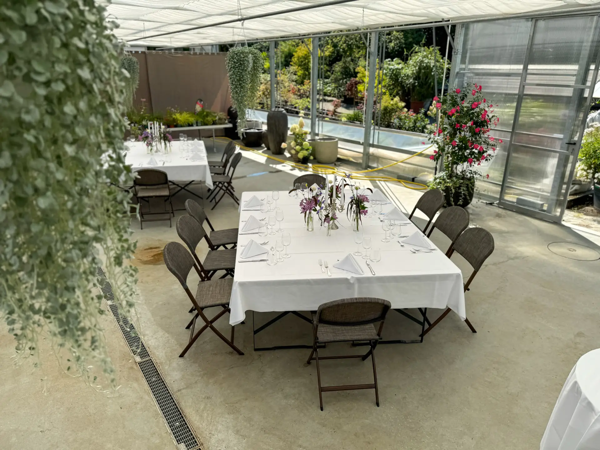 Triibhuus Rothrist – Tafel